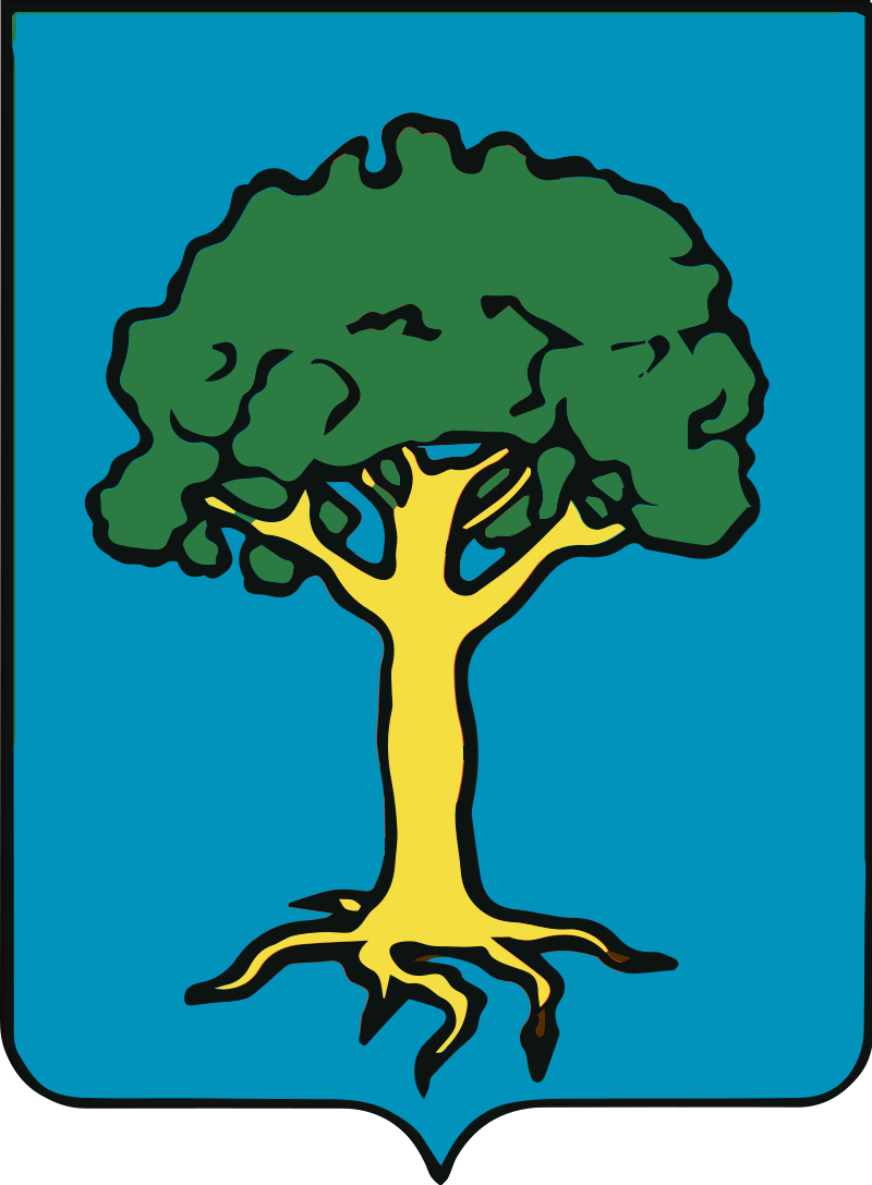 Logo Giunta di Castello